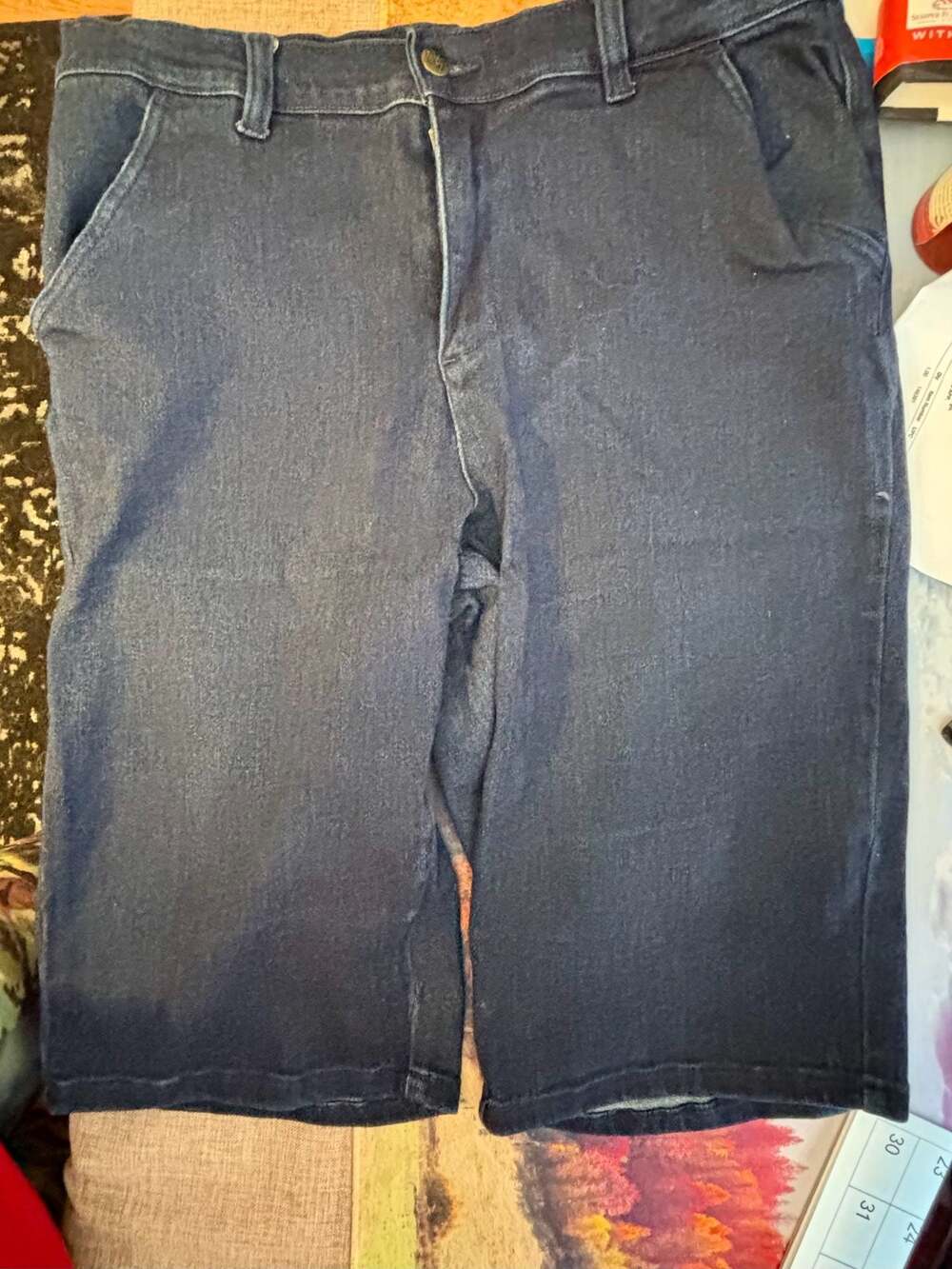 DG2 by Diane Gilman Dark Wash Denim Shorts Size 12